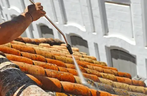 Nettoyage de toitures - Lognes